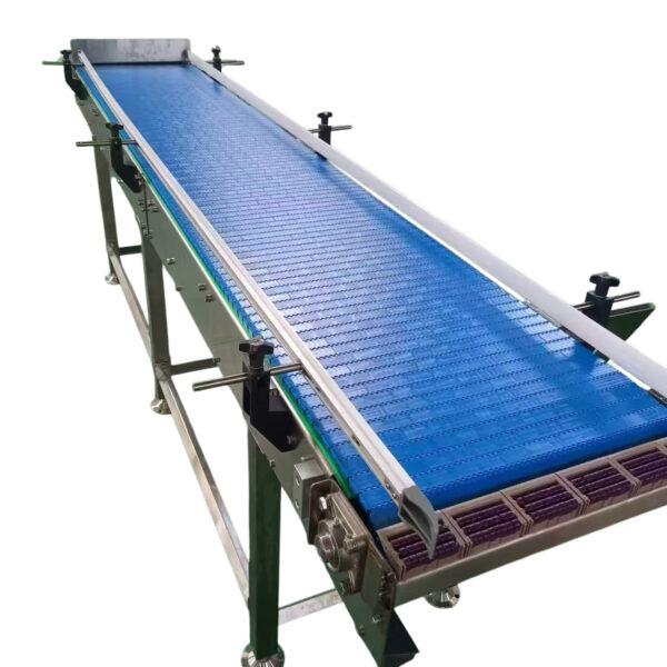 Plastic chain conveyor